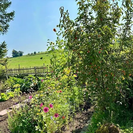 Ruhiges Lay-haus In Der Vulkaneifel, Bis Zu 7 Personen Mit Terrasse, Garten Und Kamin *