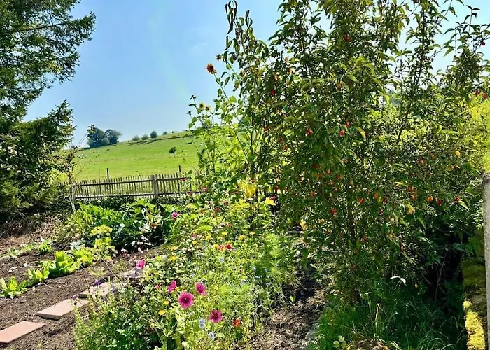 Ruhiges Lay-haus In Der Vulkaneifel, Bis Zu 7 Personen Mit Terrasse, Garten Und Kamin *